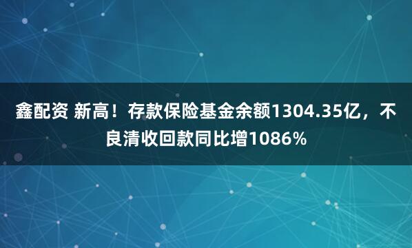 鑫配资 新高！存款保险基金余额1304.35亿，不良清收回款同比增1086%