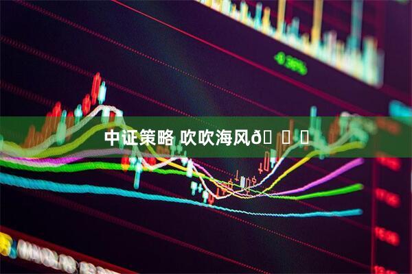 中证策略 吹吹海风🌊